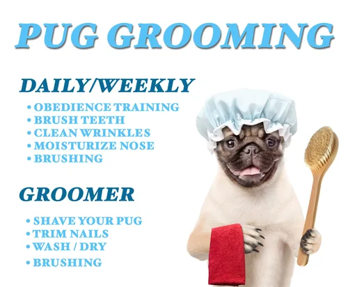 Dog brush on sale for pugs